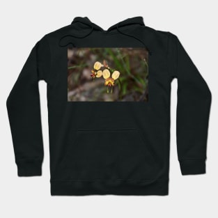 Donkey Orchid - by Avril Thomas Hoodie